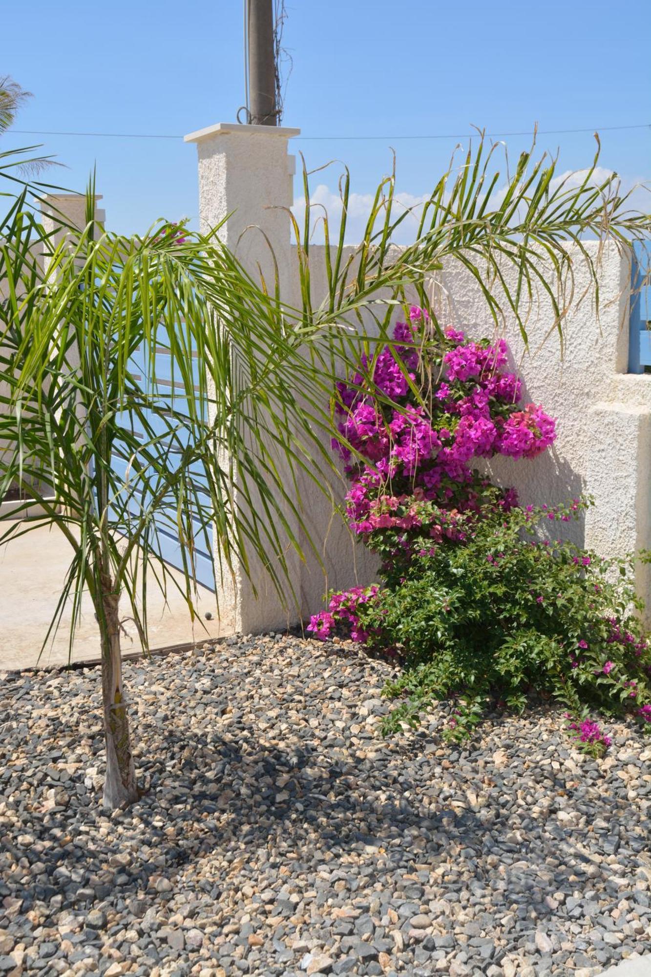 Villa Colapesce Marzamemi Exteriör bild